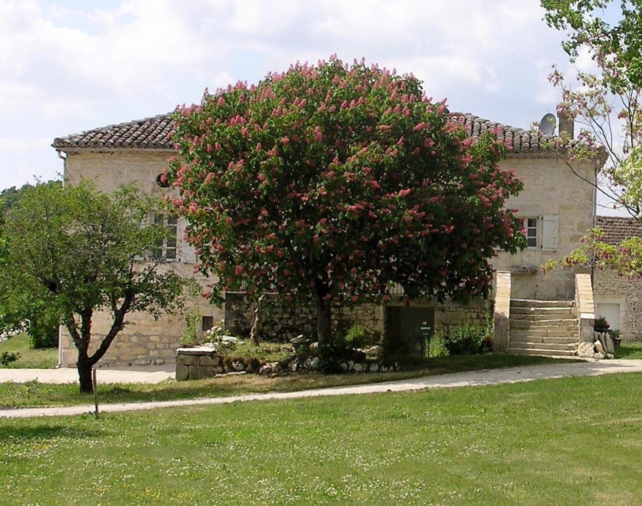 Domaine De L'Isle Basse Bed & Breakfast Fontanes  Exterior photo