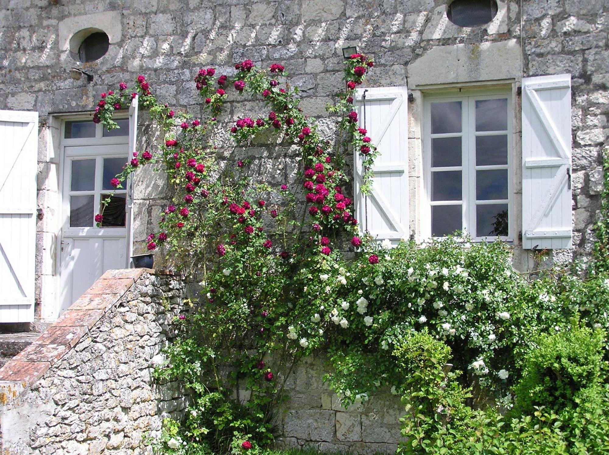 Domaine De L'Isle Basse Bed & Breakfast Fontanes  Room photo